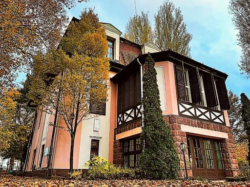 Party Villa Holiday Rent Balatonfoldvar - Housity