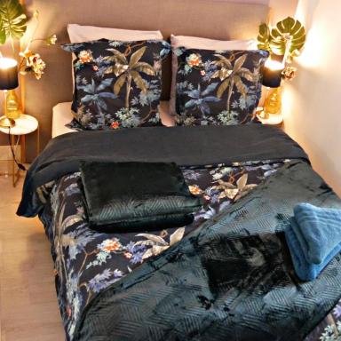 Joli studio dans le centre ville de Brest - Housity