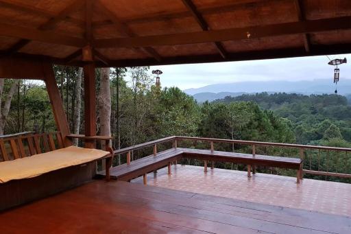 Greenleas, Cottage, Swimming Pool and Log Fire - Housity