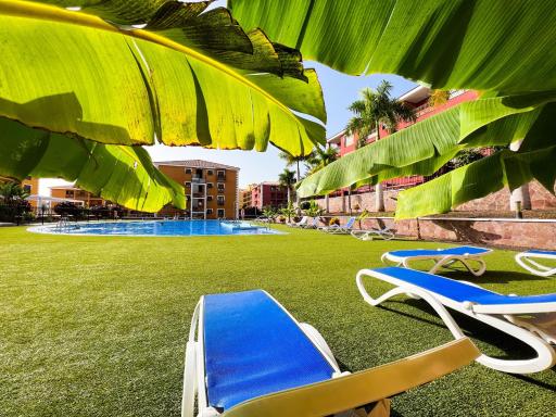 Beautiful 1 bedroom apartment in Palm Mar, PM101 - Housity