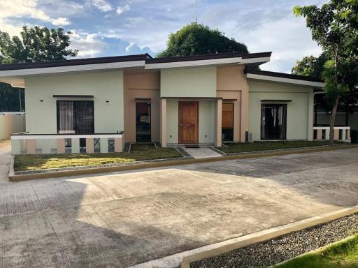 Mango Dream - Housity