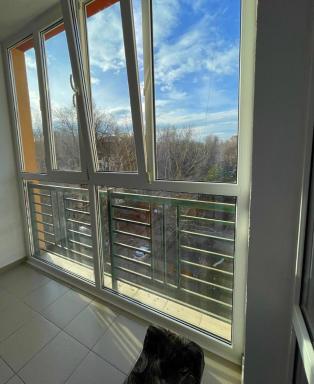 Luxury and comfortable apartment - Housity