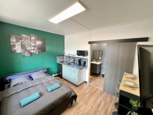 Magnifique studio ~Hipster~ porte du Futuroscope - Housity