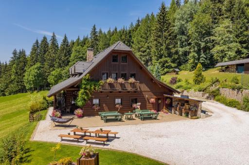 Horský dům OLYMPIA - Housity