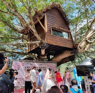 Kamisatu Treehouse - Housity