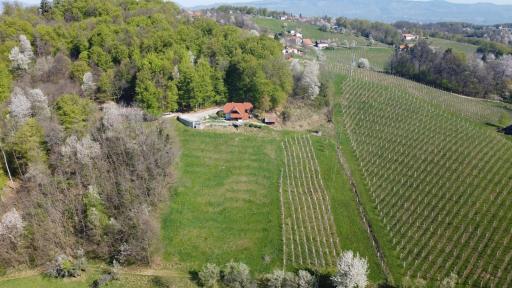 Vineyard cottage Skriti raj - Housity