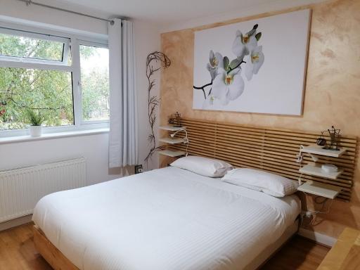 Beautiful double bedroom in shared flat near Olympic Park in Stratford London - Housity