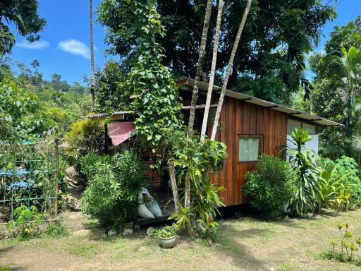Happy Hippy House7 - Housity