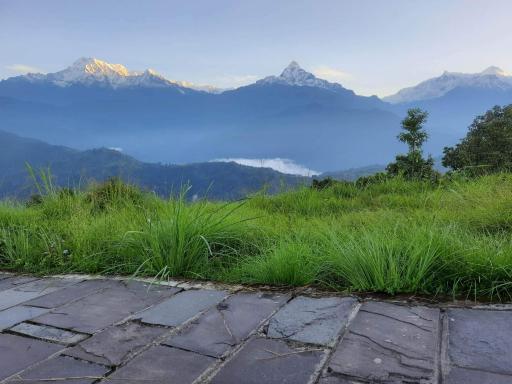 Moonlight Camping Site And Homestay - Housity