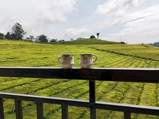 Tea Estate view stay - Housity