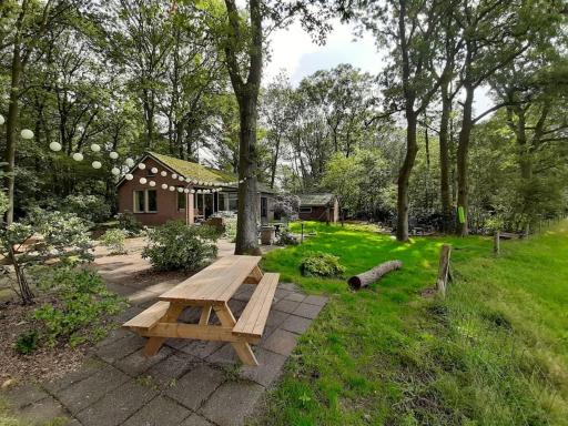 Boshuisje Doldersum: omheinde tuin en uniek uitzicht - Housity