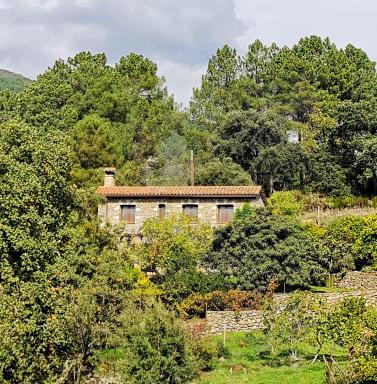 Casa Rural en Candeleda con piscina y un maravilloso jardín - Housity