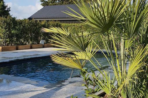 PINE COTTAGE- 5 minutes Francorchamps - charme -piscine-calme-jardin - Housity