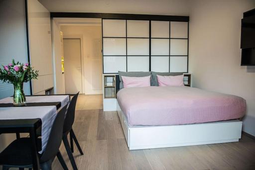 Sunny home with cute dragon in the center+parking - Housity