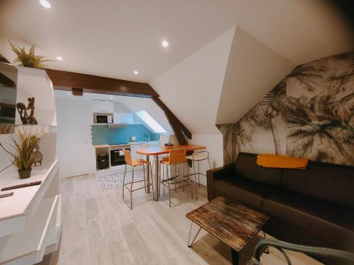 Les Lofts De Provins: Apt 7 - Hizvo