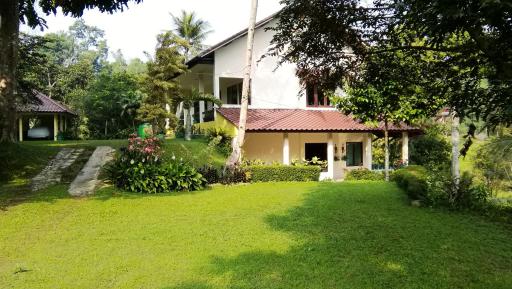Villa (Entire) Teddy 6500m2 land@Gadog 650m above sea level. - Housity