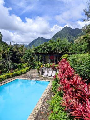 The Golden Frog Inn - Housity