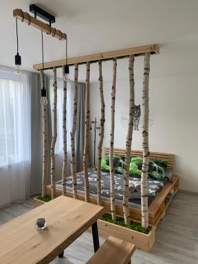 Apartmán v centru Železné Rudy se zahrádkou - Housity