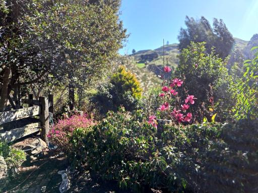 Brightwater Retreat, Tranquil 3bdrm House Near Richmond - Housity