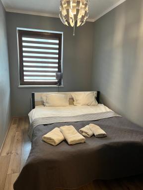 Apartament Kameralny - Housity