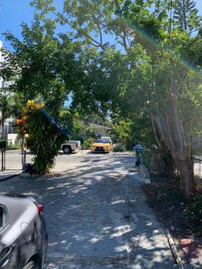 Eco-shared Wynwood - Housity