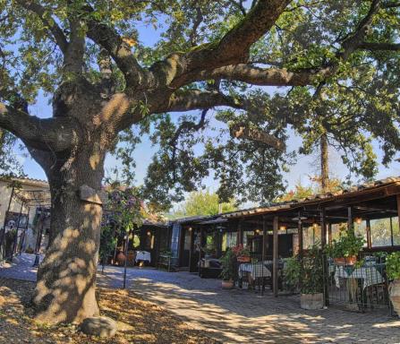 La Vecchia Quercia - Housity