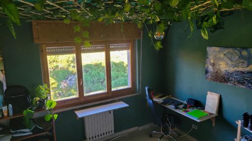 ForestRoom - Housity