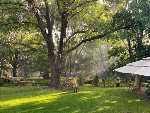 Magnolias Jardin & Boutique Suites - Housity