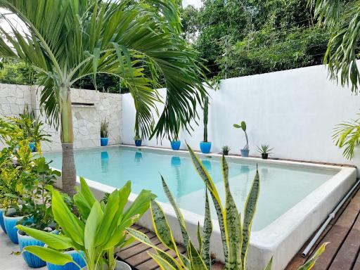White House Tulum - Housity