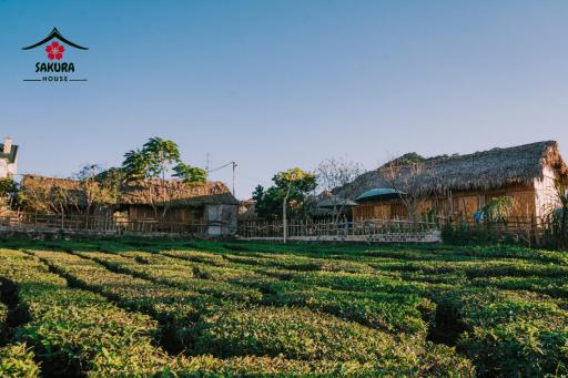 SAKURA House - Vườn Đào - Housity