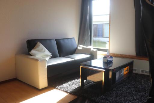 Cozy one room apartment - Housity