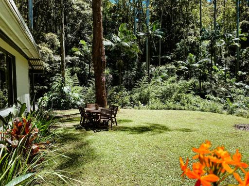 Tallowwood Cottage - Housity