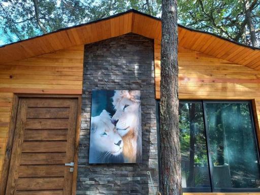 Cabaña Nala de lujo para parejas - Housity
