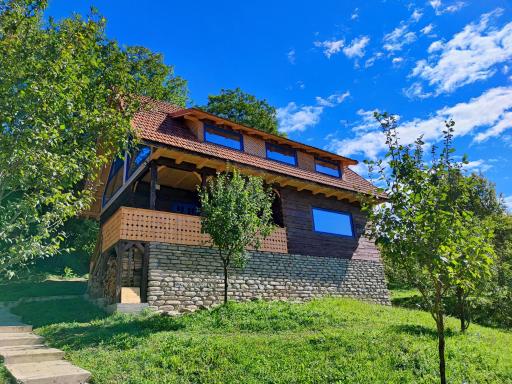 La sat - Radu Dragu - Housity