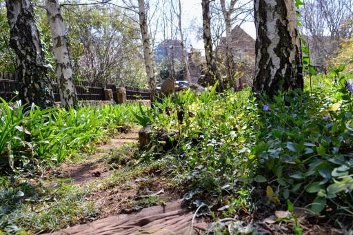 Dullies Cottage - Housity