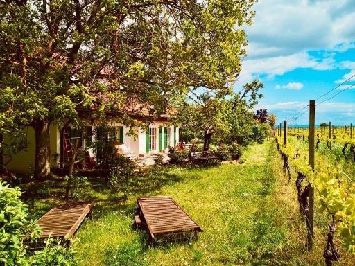 Ferienwohnung Portugieserträume - Housity