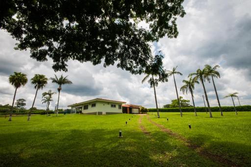 Villa Sol e Mel sitio - Housity