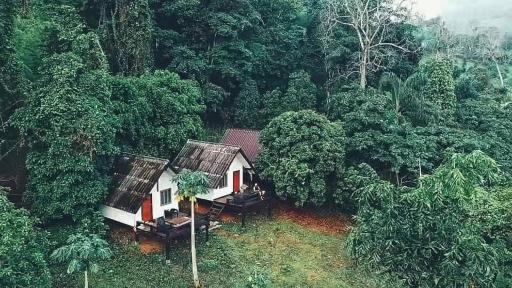 Jungle guest house - Housity