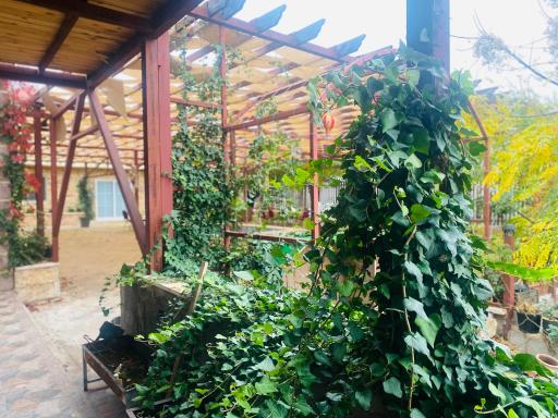 Green house - Housity