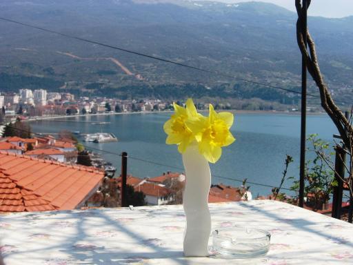 Apartments Villa Saray - Housity