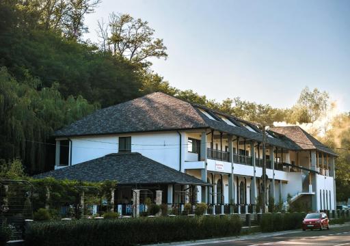 Hanul cu Sălcii - Housity