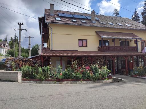 Edelweis Floare de Colt - Housity