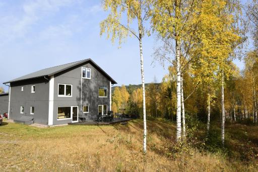 Large holiday house in Branäs - Housity
