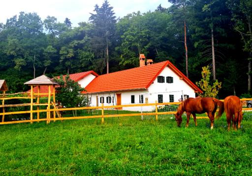 Turistična kmetija Hiša ob gozdu pri Ptuju - Housity
