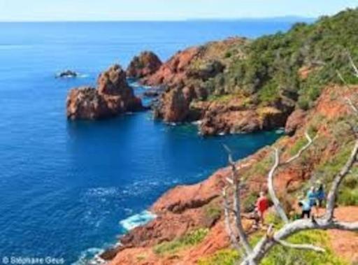 Studette centre historique refait à neuf 2022 - Housity