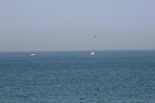 Muscat beach Guest House Room 03 - Housity
