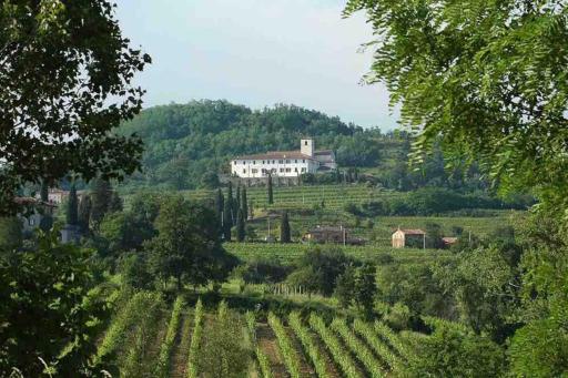 Loft nel collio - Housity
