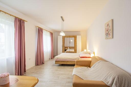 Velký apartmán Zlámanka - Housity