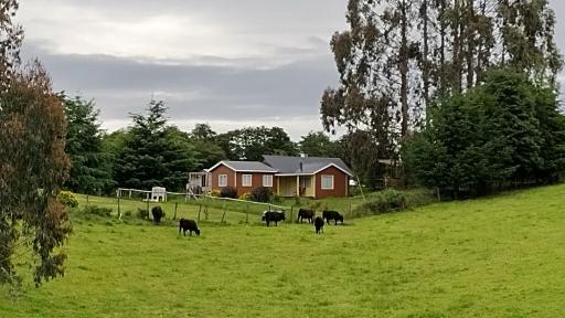 Cabañas Maullin, Las Chilcas - Housity
