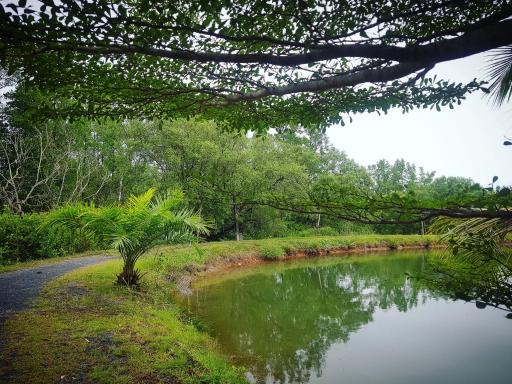 Calm at Bangphat - Housity